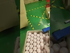 Máy in màn hình và đóng túi